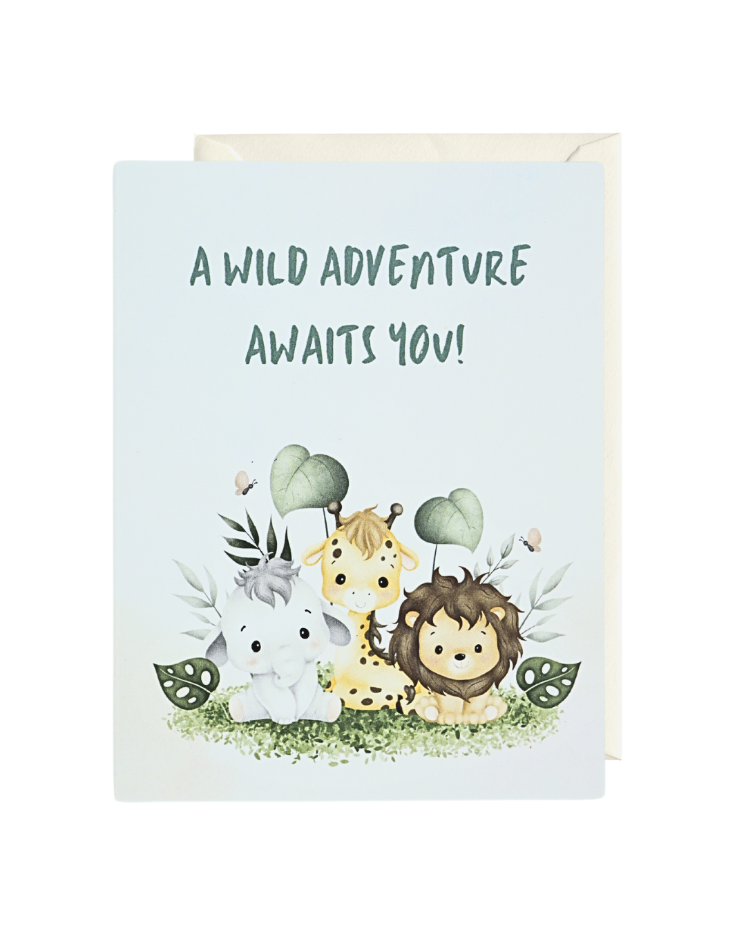 New Congratulation Box